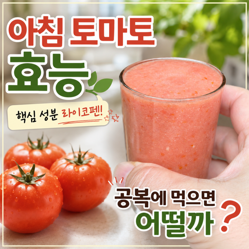 아침 토마토 효능, 공복에 먹어도 괜찮을까? 토마토주스로 먹어봤어요