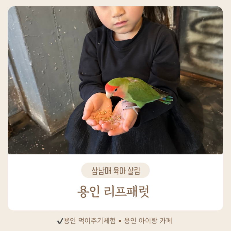 리프패럿 용인 아이랑 갈만한곳,용인 먹이주기 체험 카페