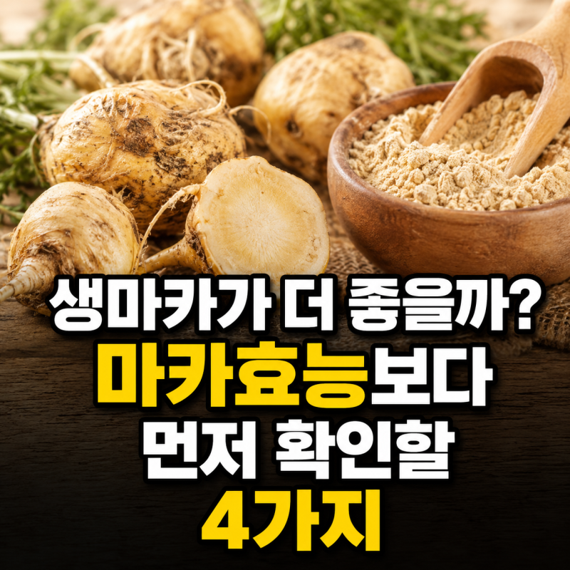 “생마카가 더 좋을까?” 마카효능보다 먼저 확인할 4가지