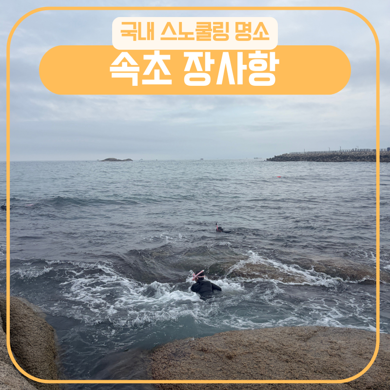 장사항 스노쿨링 포인트와 주차꿀팁 (속초 취사가능 샤워장 있는 바다)