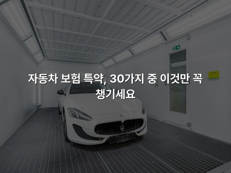 자동차 보험 특약, 30가지 중 이것만 꼭 챙기세요
