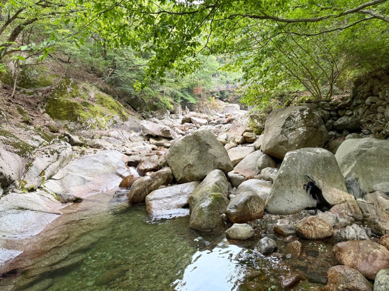 지리산 국립공원 칠선계곡 경남 여행 가볼만한곳 지리산계곡