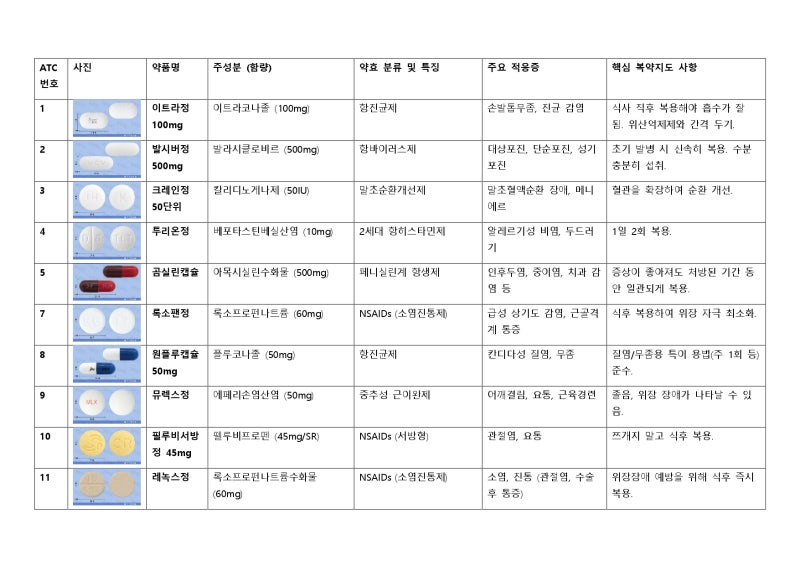 [약대생 실습일지] 약국 다빈도 처방의약품 156종 성분·적응증·복약지도 총정리