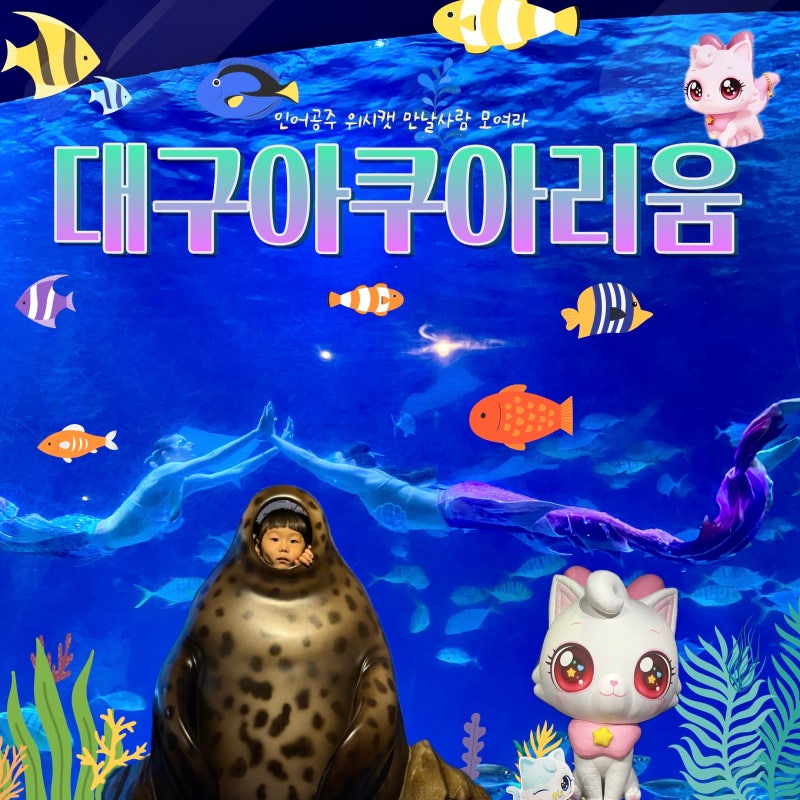 대구 아쿠아리움 아이와 다녀온 후기 위시캣 콜라보 인어공주쇼 할인