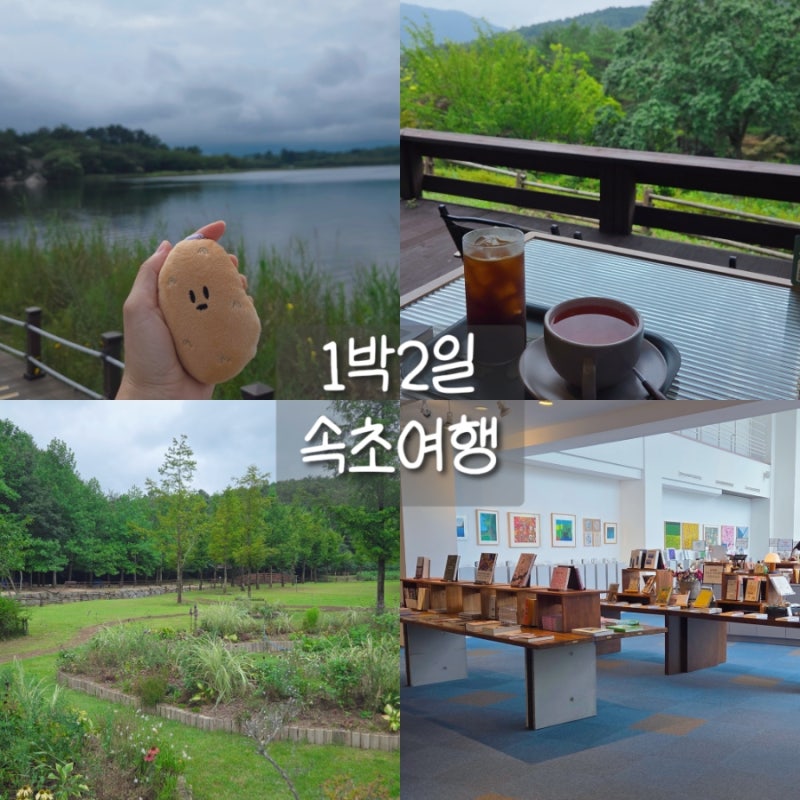 나만 알고 싶은 숨은 속초 여행지 - 속초 1박2일 여행코스, 속초 맛집 추천