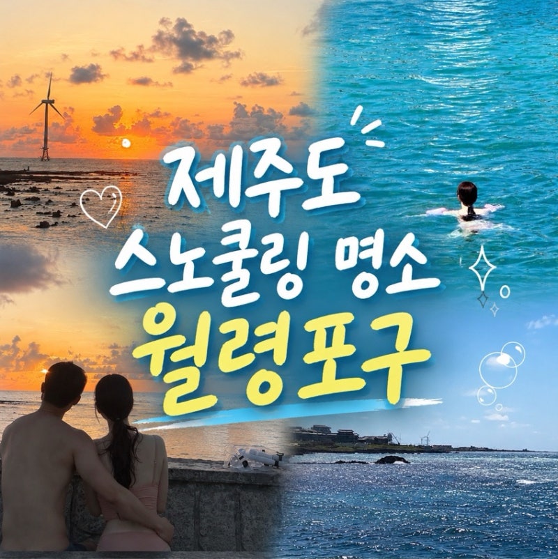 제주도 스노쿨링 명소 월령포구 추천, 주차부터 물때, 샤워실까지 총정리️
