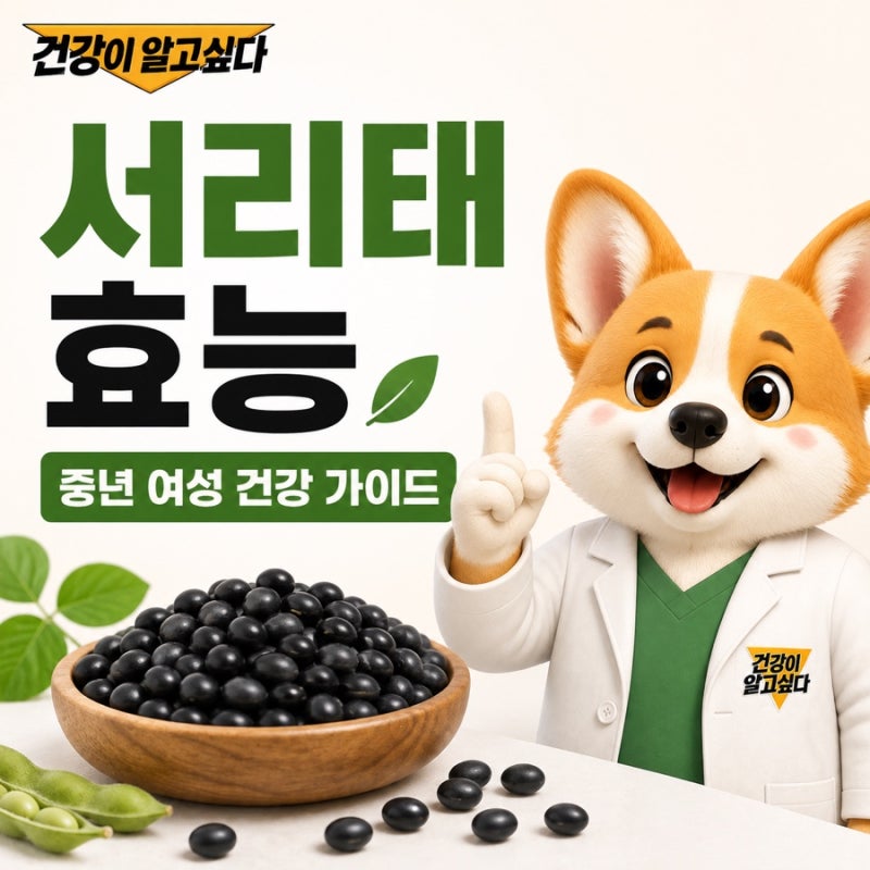 서리태 효능, 검은콩이라고 다 같은 걸까? 중년 여성들이 많이 찾는 이유