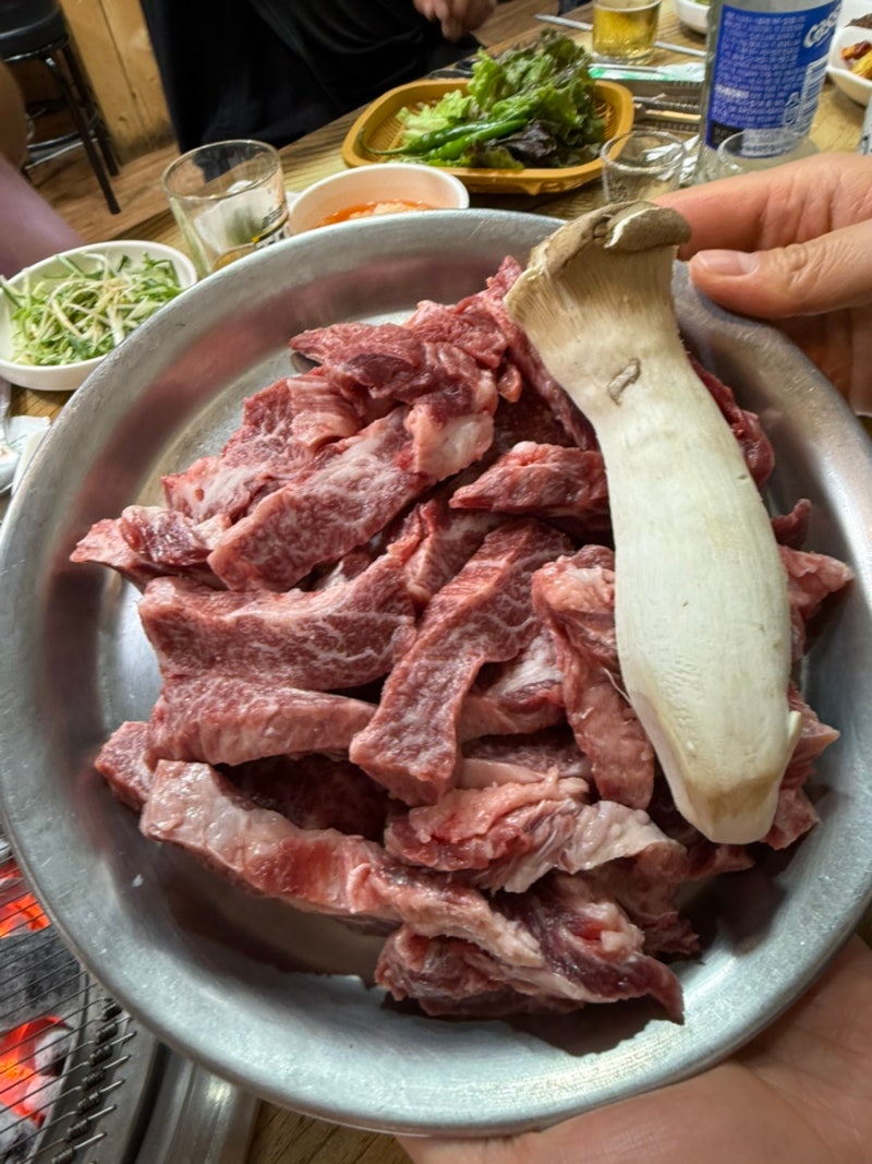 ‘고원한우실비’ 강원도 태백 한우 현지인 맛집 추천 내돈내산