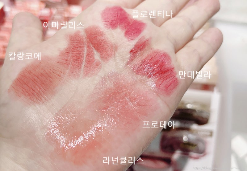다이소 네이처리퍼블릭 바이플라워 립스틱 전색상