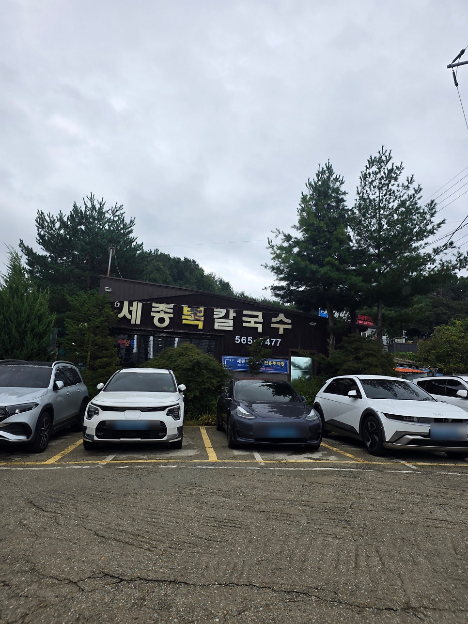 세종복칼국수