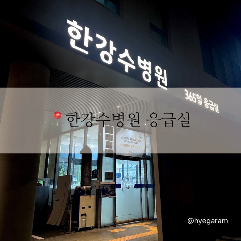 17개월 아기 이마 상처｜영등포 한강수병원 응급실 방문 후기
