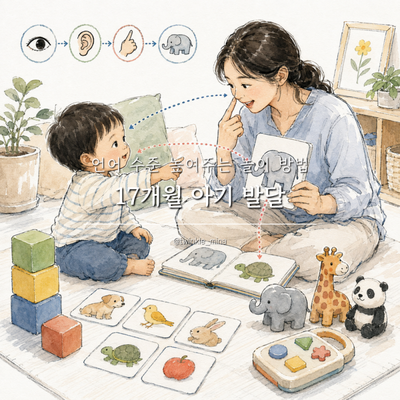 17개월 아기 발달 언어 수준 높여주는 놀이 방법은?