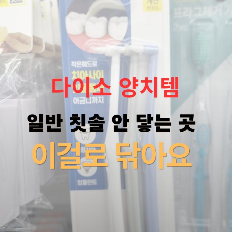다이소 어금니칫솔, 일반 칫솔이 닿기 어려운 치아 구석까지 천 원에 3개