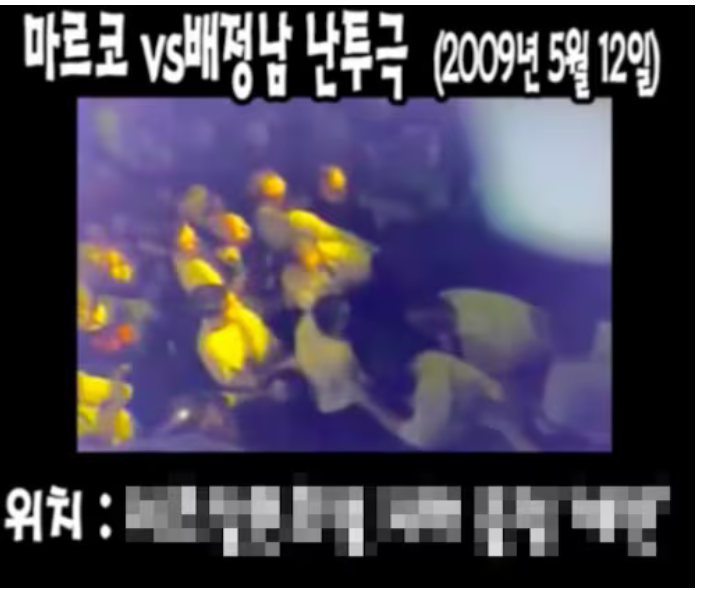 17년 전 일에 "부산 지인 데려왔다" 새 주장…황현민, 배정남·마르코 난투극설 재소환 어디까....