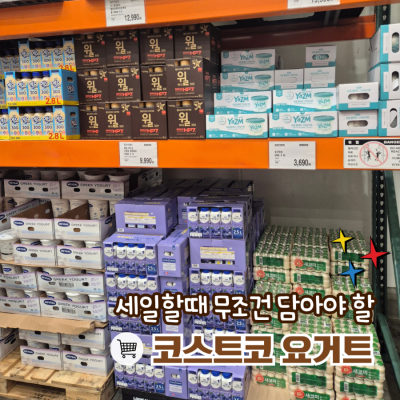 코스트코 요거트 할인 5종 추천, 그릭요거트 신상 금액 비교 총정리