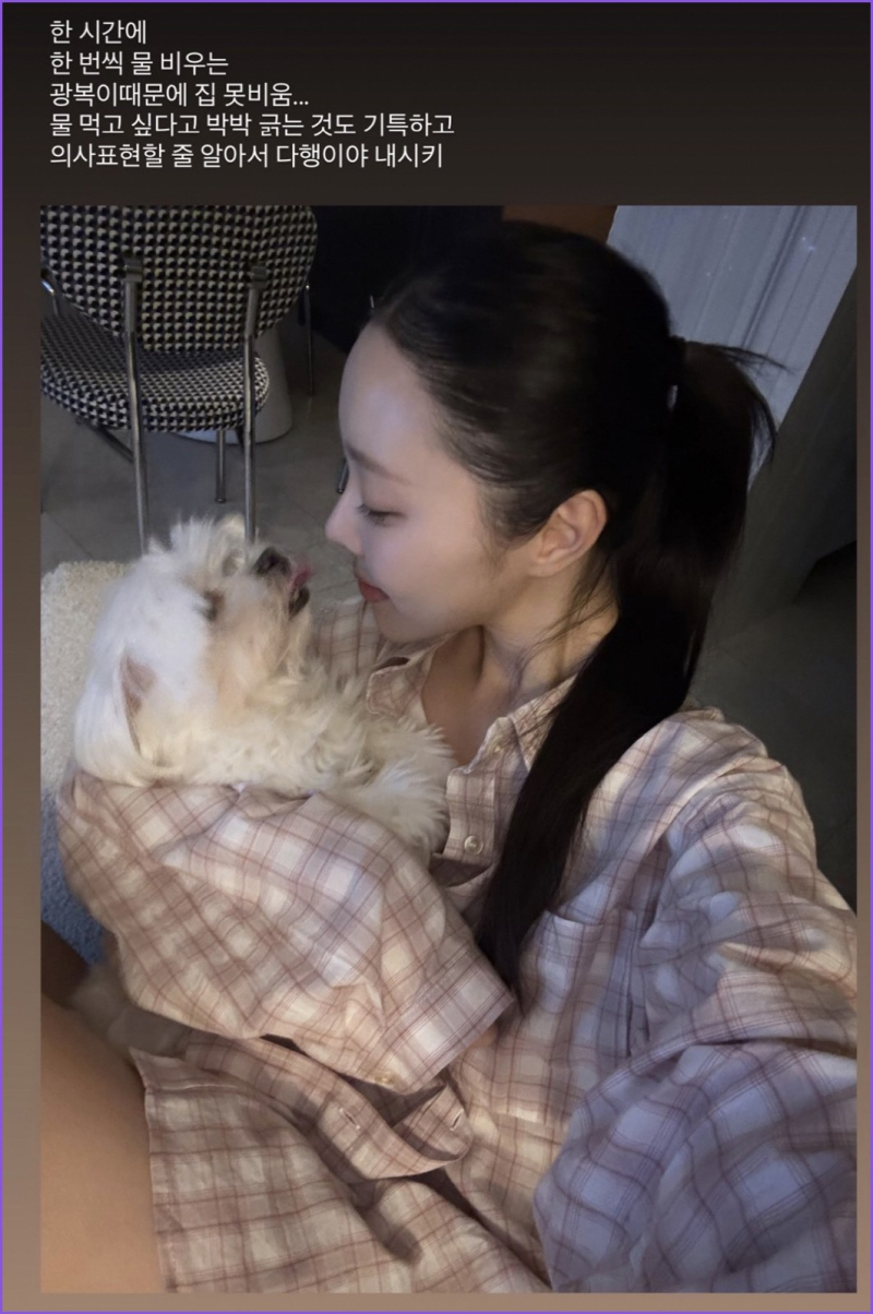 이솔이 광복이 심장병 근황, 박성광 반려견 치료와 이혼설 이후 일상