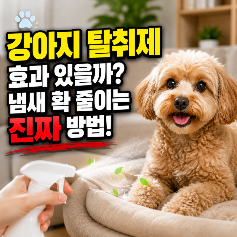 강아지 탈취제 효과는? 강아지 냄새 제거 방법 실내 냄새 관리 팁