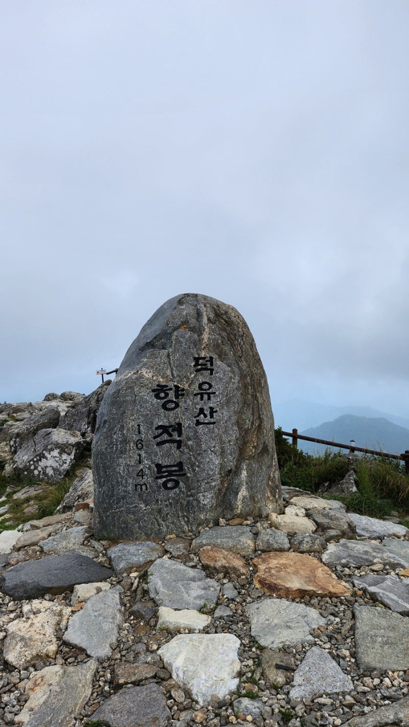케이블카 타고 만난 여름의 덕유산 향적봉 풍경, 야생화와 푸른 숲이 아름다워요!
