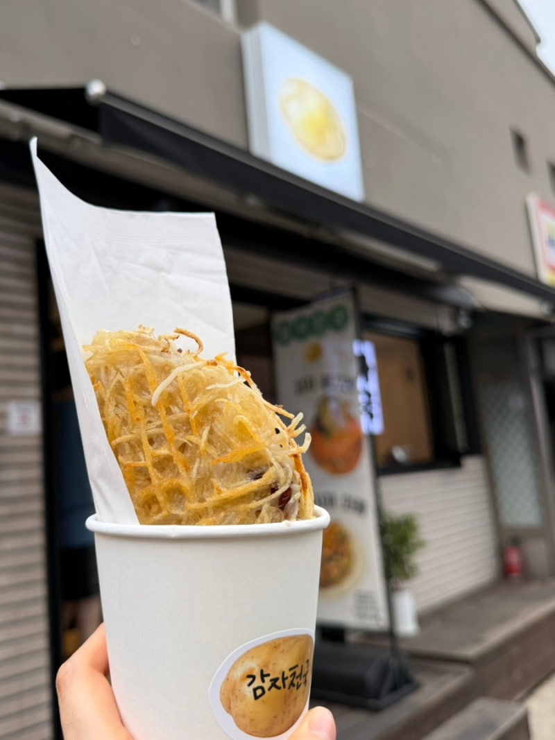 강릉 중앙시장 감자 먹거리 감자타코야끼 감자채와플 감자천국