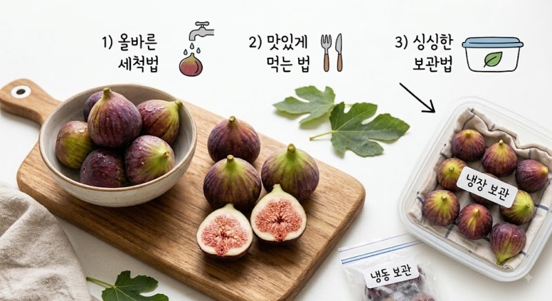 무화과 먹는법 껍질째 먹어도 되나? 씻는법, 보관법까지 한 번에 정리