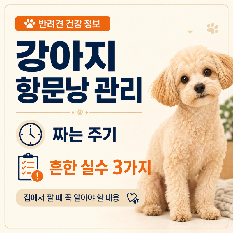 강아지 항문낭 짜는 주기와 집에서 짤 때 흔한 실수 3가지