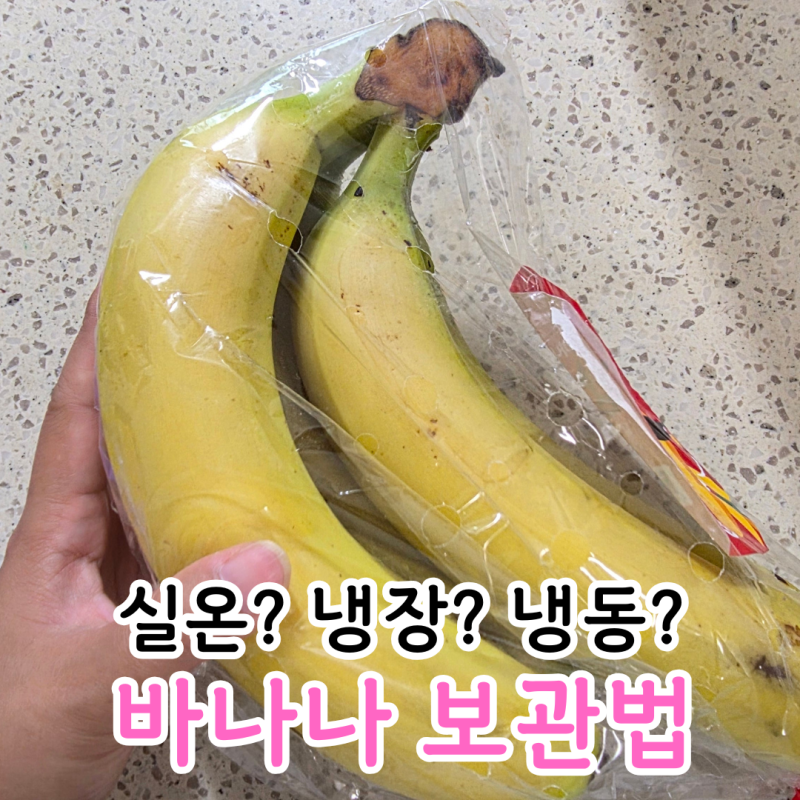 바나나 오래 보관방법 냉장보관도 괜찮을까?