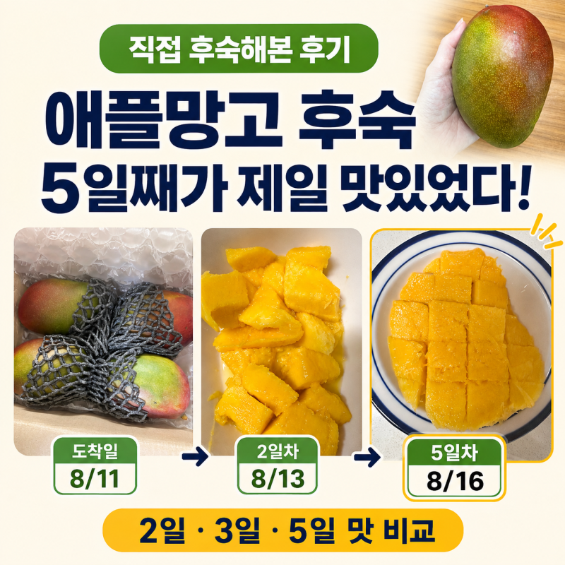 수플린 애플망고 후기｜후숙 며칠이 제일 맛있을까? 2일·3일·5일 직접 비교