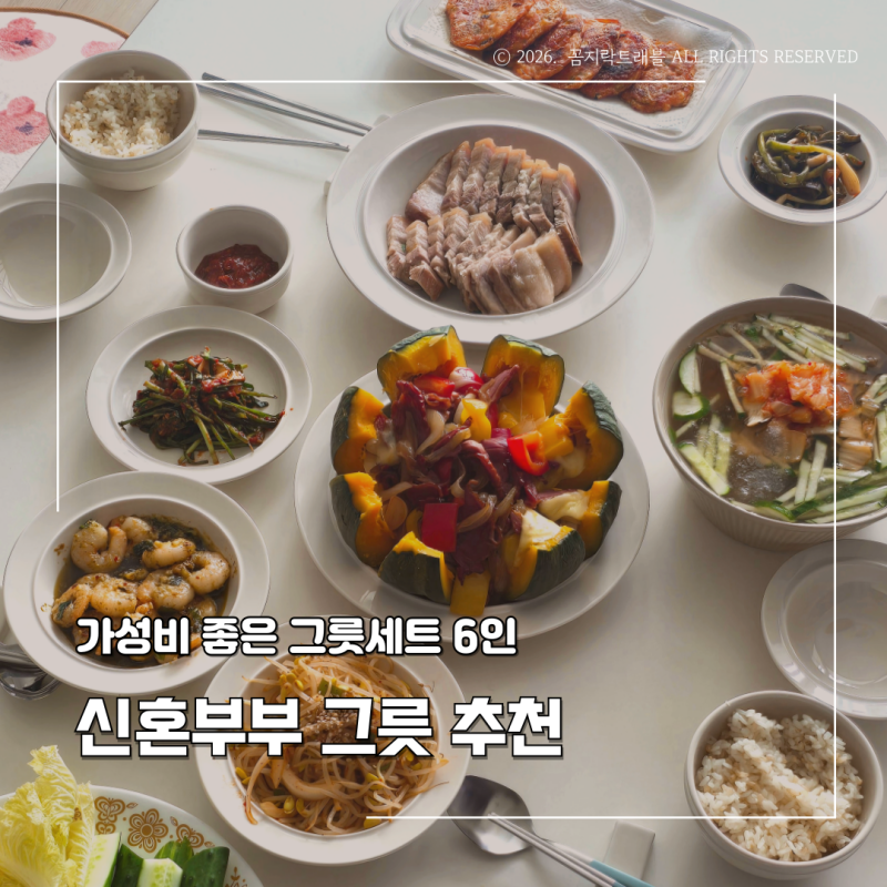심플한 가성비 신혼부부 그릇 세트 6인 쓰임 레트로라인 1년 후기