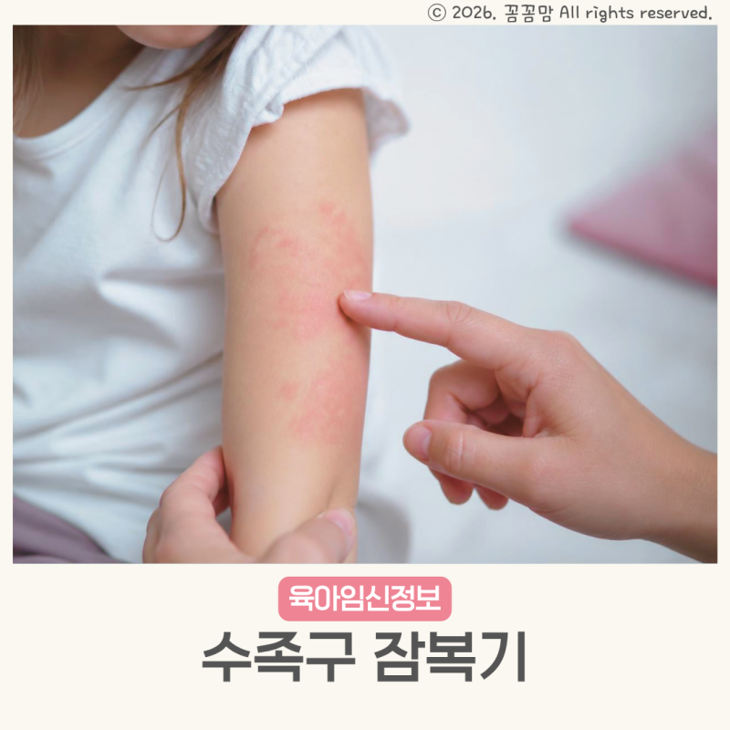 수족구 잠복기 전염 열