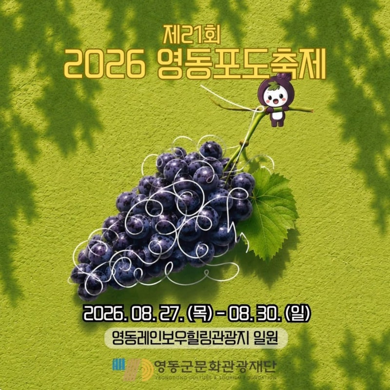 2026 영동포도축제 총정리｜공연 라인업·포도체험·주차·교통정보까지