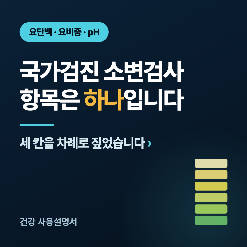 검진표 소변검사 항목 뜻......요단백 요비중 pH 다 나오진 않습니다