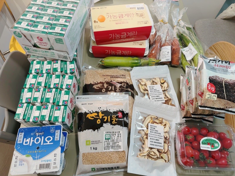 2026 보건소 영양플러스 사업 신청방법 및 후기 | 임산부 영유아
