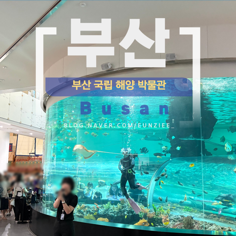 부산 아이와 가볼만한 곳 국립해양박물관｜수족관부터 어린이박물관까지