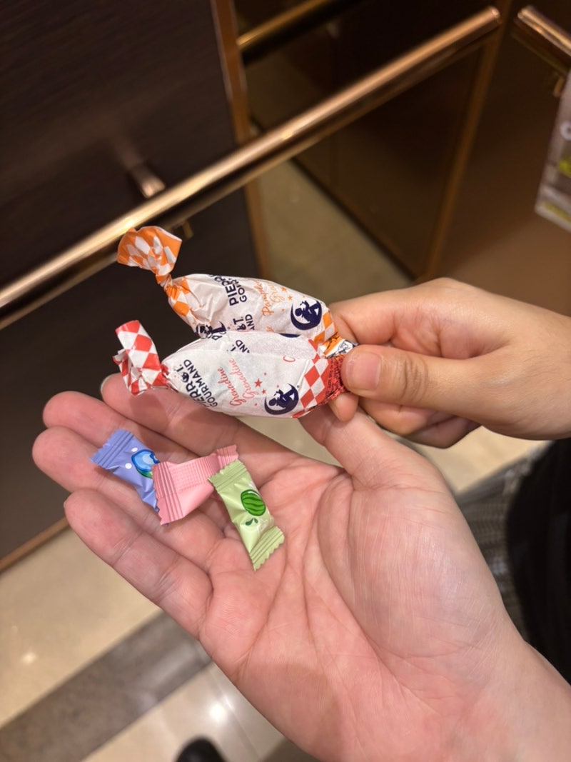 [시험관 일기] ④ 배아 이식을 하다 (난자 채취 후 부터 이식전까지 먹는 약 정리, 스콘을 주....