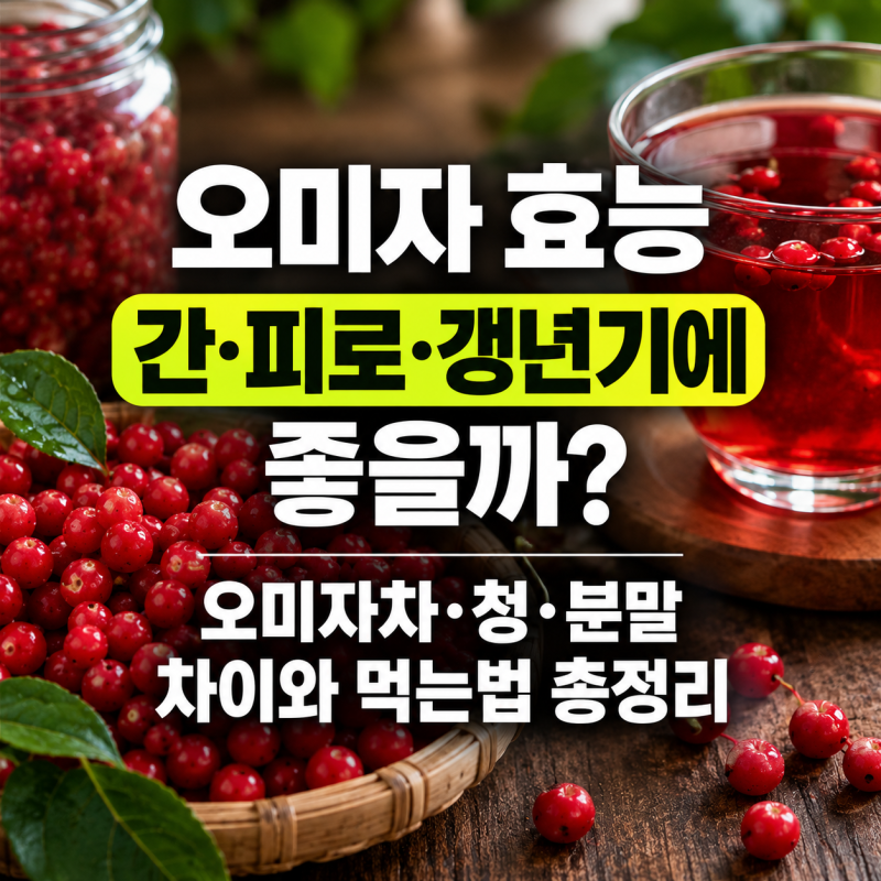 오미자 효능 총정리, 간·피로·갱년기에 좋을까? 오미자차, 청, 분말 차이와 먹는법 총정리