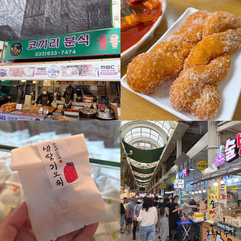 속초중앙시장 속초관광수산시장 먹거리 & 코끼리 분식 후기