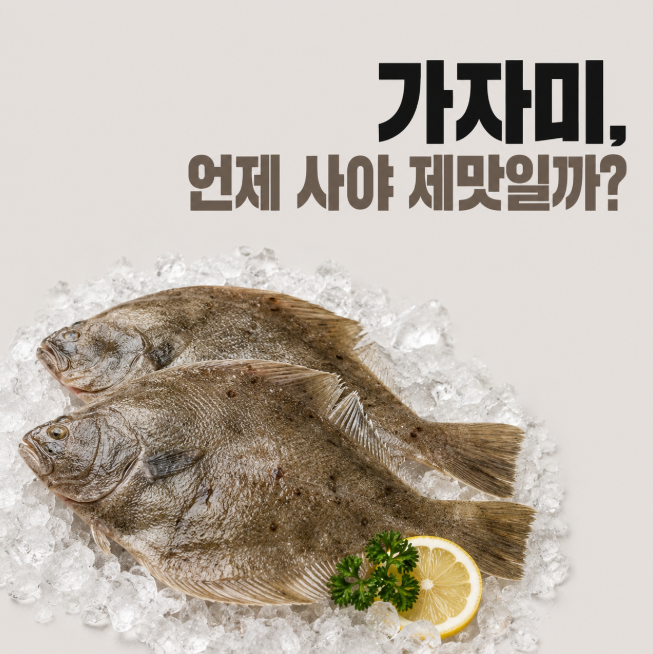 가자미, 언제 사야 제맛일까? 제철 시기와 신선하게 고르는 법, 영양 성분 비교