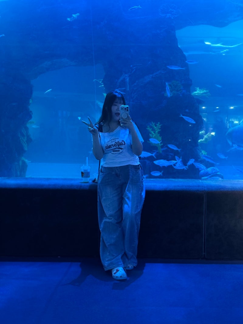 ロッテワールドモール水族館、すごい！水光庭園の割引、駐車料金のコツ、蚕室で遊ぶ場所