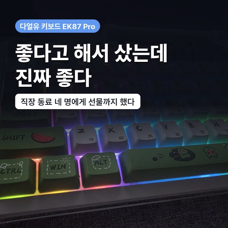 다얼유 키보드 EK87 Pro 후기, 좋다고 해서 샀는데 진짜 좋다