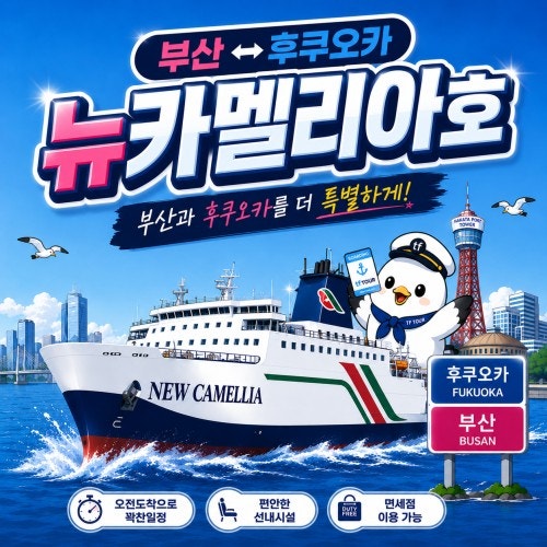 비행기 대신 배로 후쿠오카 갈까?｜뉴카멜리아 부산 후쿠오카 배편 가격·시간·예약