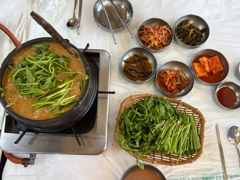 광주 북구 유동 광주대표맛집 들깨오리탕맛집 영미오리탕 본점