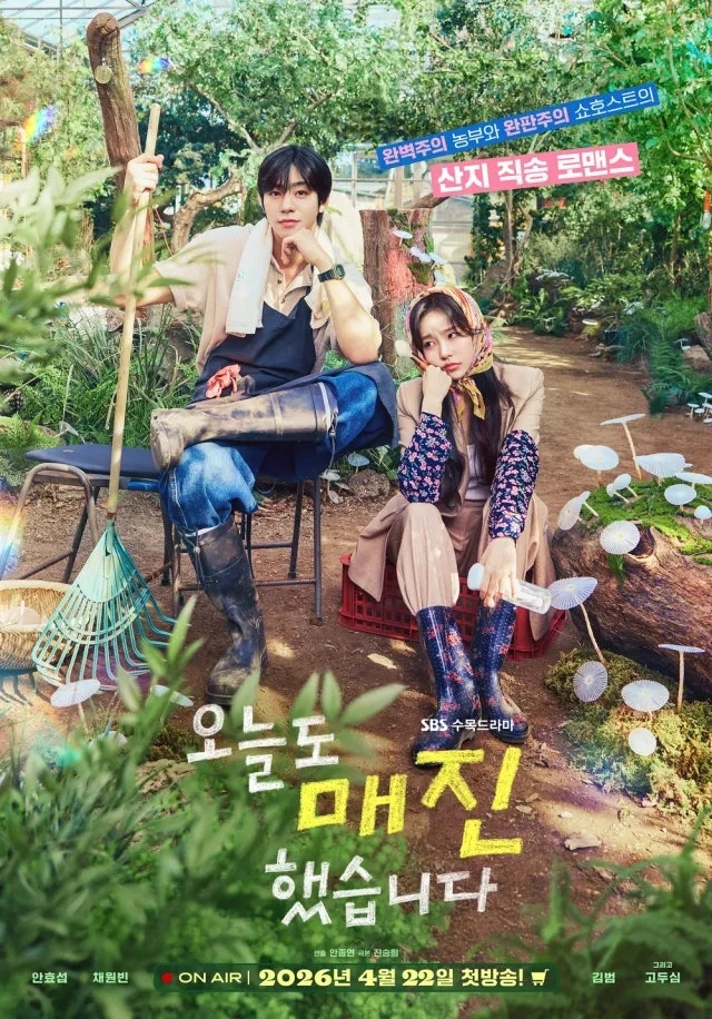 정보 줄거리 관전포인트 결말 해석, 안효섭 채원빈 주연 넷플릭스 힐....