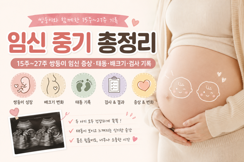 임신 중기 총정리 / 15주~27주 쌍둥이 임신 증상, 태동, 배크기, 임신중기 검사 기록