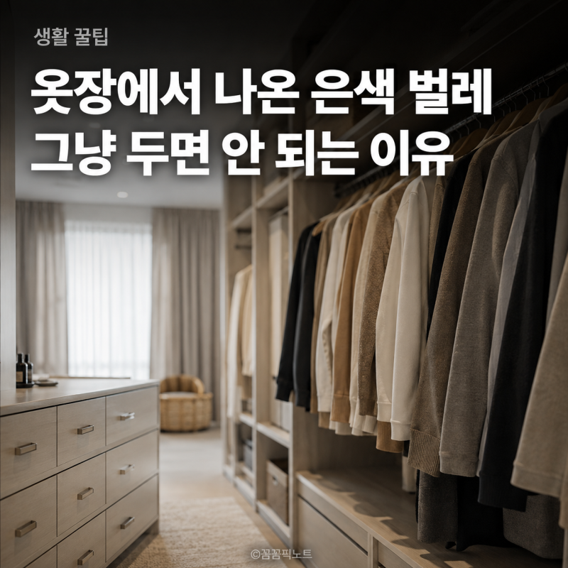 좀벌레 생기는 이유와 퇴치 방법, 옷장부터 확인하세요