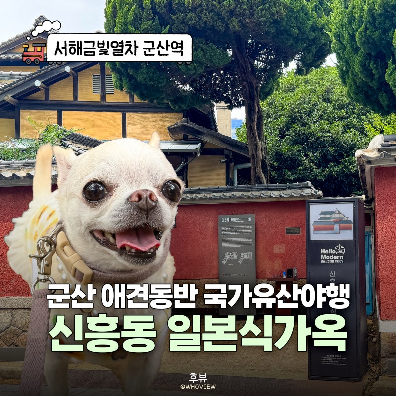 군산 애견동반 가볼만한 곳 신흥동 일본식가옥 2026 국가유산야행 관람 팁