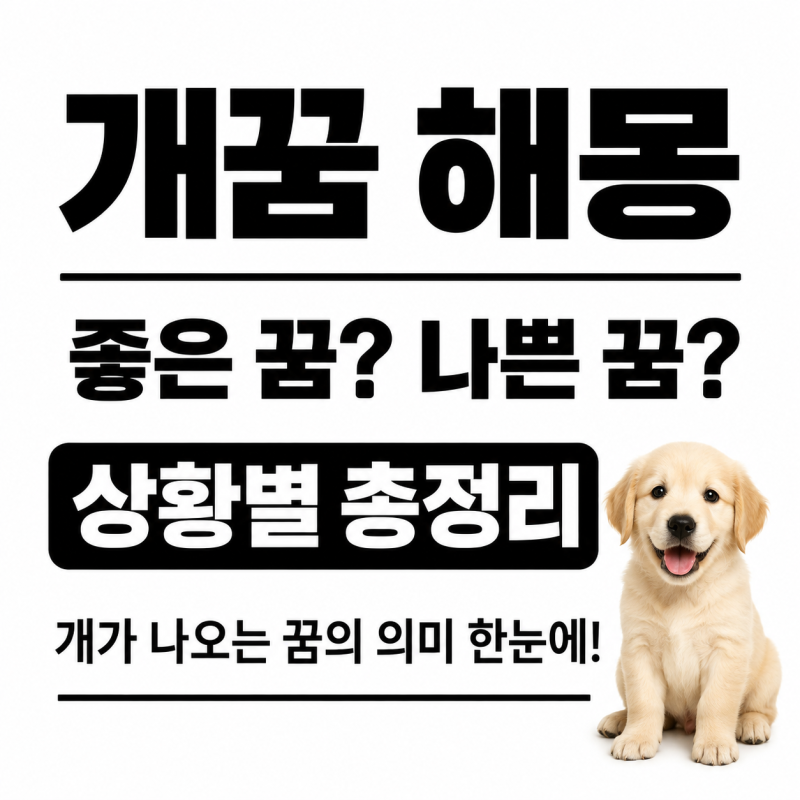개꿈 해몽 / 좋은 꿈? 나쁜 꿈? / 상황별 총정리