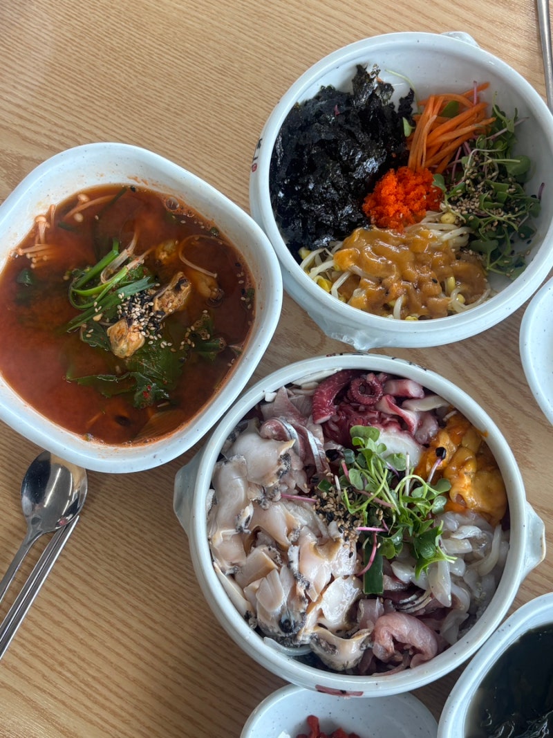 강원도 속초 물회 맛집 l 속초 해수욕장 근처에서 찾은 속초 3대물회집 l 속초항아리물회집