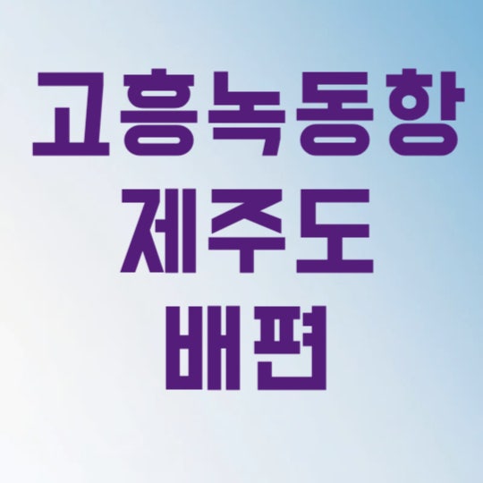고흥녹동항 제주도 배편 예약 3가지만 알면 2만원 아낍니다