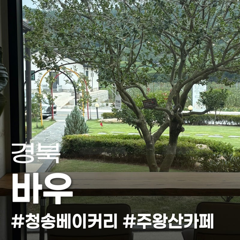 청송 대형카페 바우 | 주왕산 근처 가볼 만한 곳, 베이커리 카페 추천