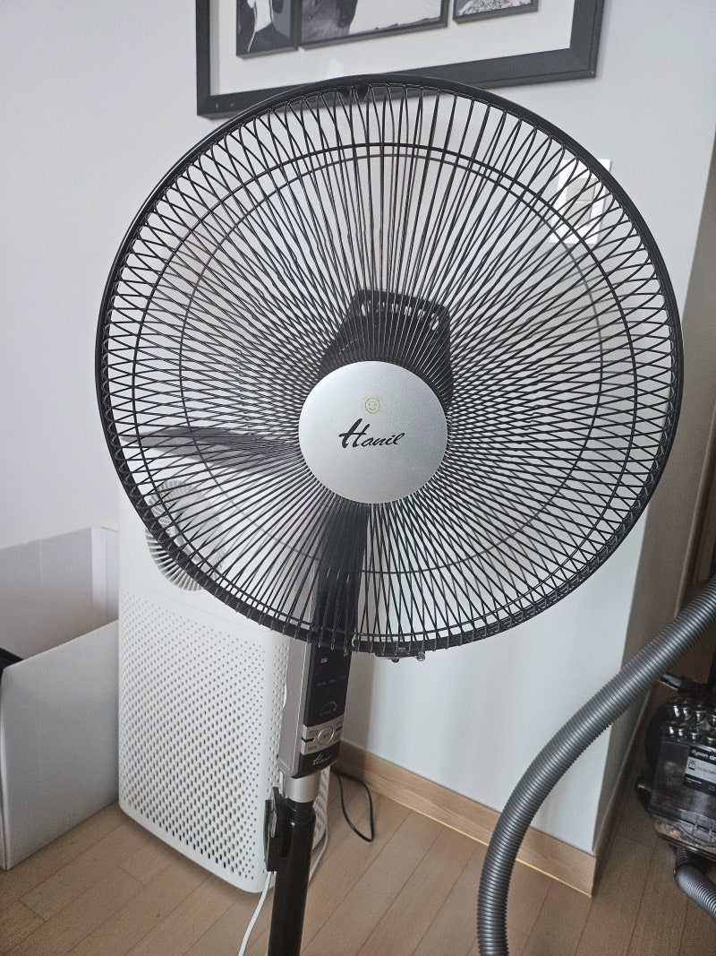 혓바늘이 3주 이상 지속된다면? 구강암 초기증상과 구내염 구별법